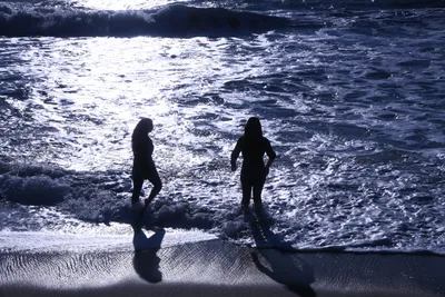 DSC_0516 (Large).JPG